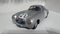 Mercedes Benz 300 SL  21 24H of LeMans silver arrow racer - legend racing cars