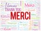 Merci Thank You in French