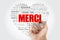 Merci Thank You in French Word Cloud