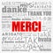 Merci Thank You in French word cloud