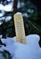 Mercury wooden thermometer