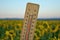 Mercury wooden thermometer