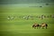 Mergel Golden Horde Khan Mongol tribes riverside grassland sheep, horses, cattle