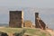 Merinid Tombs Ruins in Fes, Morocco