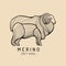 Merino sheep logo, label. Vector ram illustration. Ewe soft wool sign. Fleece icon background.