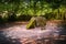 Merlin`s grave or burial place, forest of BrocÃ©liande landmark, Paimpont, Brittany, France