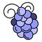 Merlot grape icon color outline vector