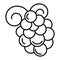 Merlot grape icon, outline style