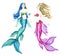Mermaids with blue long hair and blonde, isolated watercolor illustration