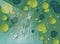 Merman swim in lily lake illustration vector, summer background, man swimming