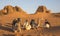 Meroe pyramids in a desert in remote Sudan