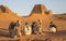 Meroe pyramids in a desert in remote Sudan