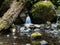 Merriman creek cascading at Merriman Falls in Lake Quinault valley