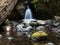 Merriman creek cascading at Merriman Falls in Lake Quinault valley