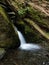 Merriman creek cascading at Merriman Falls in Lake Quinault valley