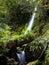 Merriman Falls in Lake Quinault valley on Olympic peninsula