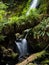 Merriman Falls in Lake Quinault valley on Olympic peninsula