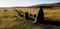 The Merrivale ceremonial Stones , Dartmoor