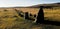 Merrivale Stone Row.  Dartmoor National Park Devon