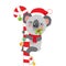 Merry Christmas From Australia Koala Christmas Card. Cute Animal Cartoon Character.