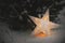 Merry Christmas! Big Christmas star glowing at snowy pine tree in winter park at night, close up. Space for text. Atmospheric