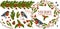 Merry Christmas, bullfinch birds with mistletoe with berries vector