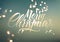 Merry Christmas. Calligraphic retro Christmas greeting card design on blurry background. Vector illustration. Eps 10.