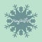 Merry Christmas card banner design snowflake dark grey on green background. Vector