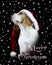 Merry Christmas card beagle dog wearing a Santa hat