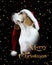 Merry Christmas card beagle dog wearing a Santa hat