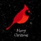 Merry Christmas card with Red cardinal and snow. Vector. Flat design