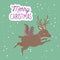 Merry christmas celebration cute reindeer with squirrel snow