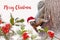 Merry Christmas with a cute squirrel with a Santa hat in the snow and holly. Animal fun holiday card