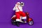 Merry christmas. Full body photo of santa man sitting on moped alcohol drink and vintage tape recorder on shoulder wear