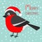 Merry Christmas greeting card. Bullfinch winter red feather bird. Santa hat. Candy cane text. Cute cartoon funny character. Baby