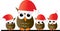 Merry christmas a group pf adorable owls