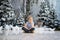 Merry Christmas and Happy New Year! Charming little boy is sitting at home, snowy winter decorated tree on background. New Year an