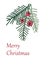 Merry Christmas and Happy New Year greeting card design. Taxus baccata tree branches with red berries and fir twigs