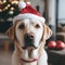 Merry Christmas and a Happy New Year, happy dog Labrador sits in Santa Claus hat, generative AI