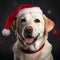 Merry Christmas and a Happy New Year, happy dog Labrador sits in Santa Claus hat, generative AI