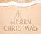 Merry Christmas inscription on wet yellow beach sand