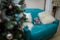 Merry Christmas living room interior with fireplace, decorated fir tree and teddy bear on turquoise sofa. Winter holidays