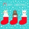 Merry Christmas. Llama alpaca, sloth, unicorn in red sock. Snow flake. Cute cartoon funny kawaii character. Happy New Year. T-