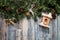 Merry christmas and new year concept. Christmas wooden blue background with Christmas toys birdhouse, bugle and star