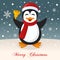 Merry Christmas Night with a Happy Penguin