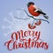 Merry christmas postcard. Bullfinch on a branch with christmas decorations