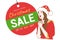 Merry Christmas sale promotion poster banner with character model.