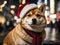 Merry Christmas Shiba Inu Magic: Festive Delight, Adorable Moments, and Heartwarming Canine Cheer.