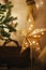 Merry Christmas! Stylish Christmas star, tree with white baubles, boho ornaments, golden lights and gifts in atmospheric evening