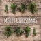 Merry Christmas Typographical on wooden background with fir branches, pine cones and snowflakes on wooden background. Xmas and New